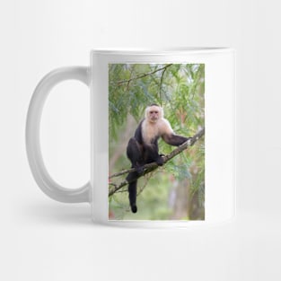 Capuchin monkey - Costa Rica Mug